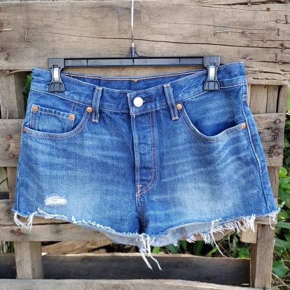 levis s40197 shorts
